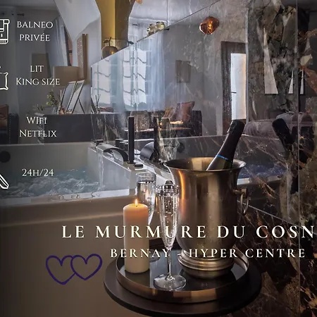 公寓 Le Murmure Du Cosnier Privee Avec *